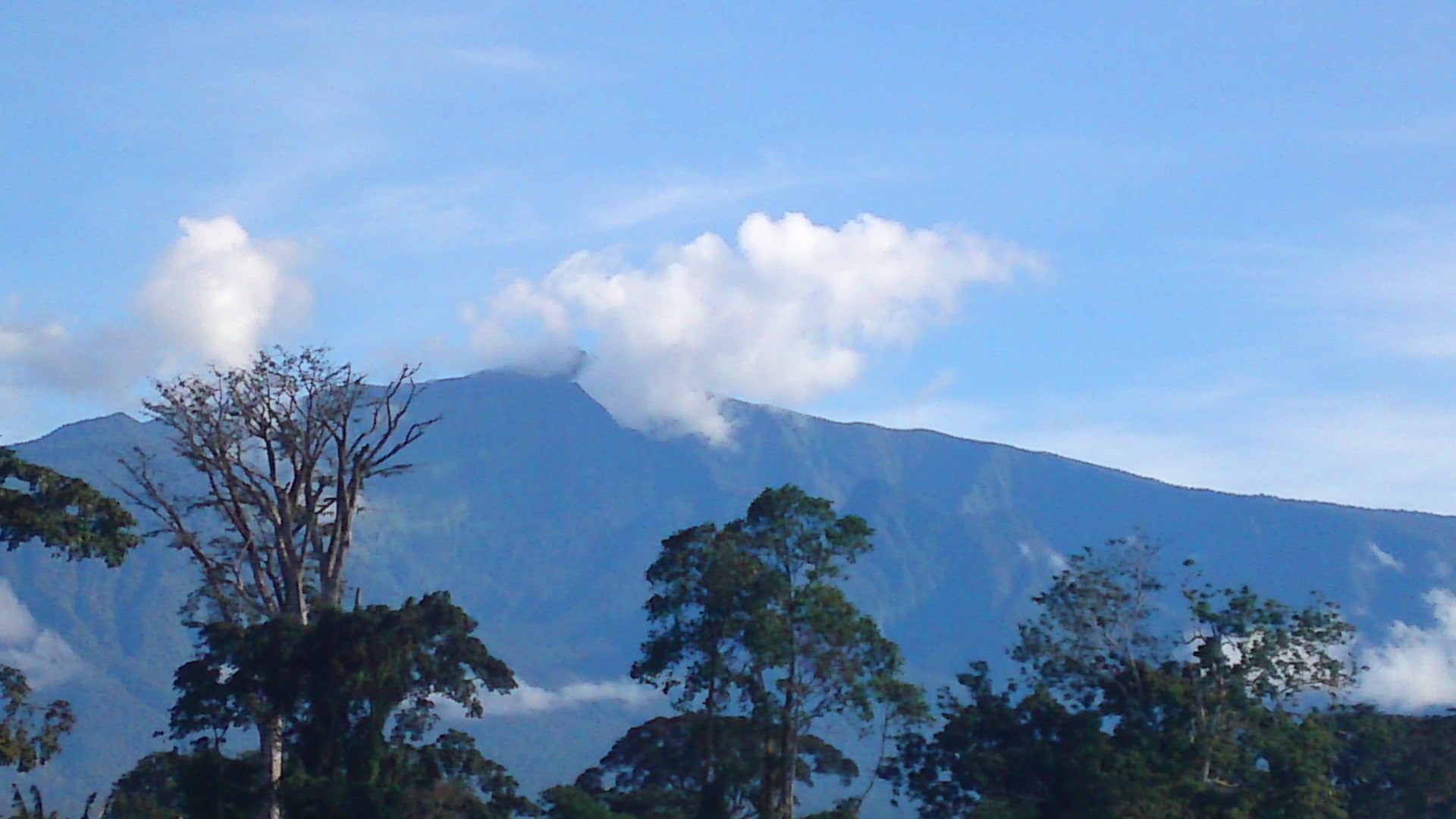 Pico Basilé National Park, Guinée équatoriale