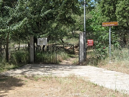 armeni archaeological site