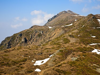 pico tumba