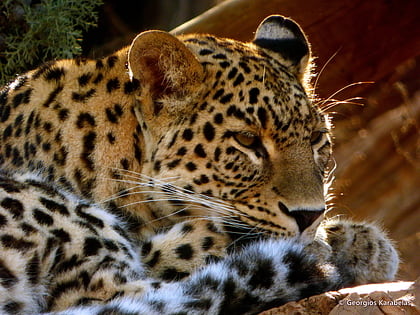 parque zoologico de atica spata