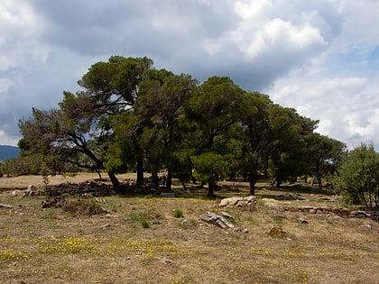 calaurie