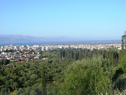 aigio