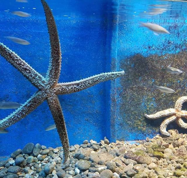 corfu aquarium paleokastritsa