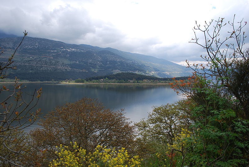 Ioannina