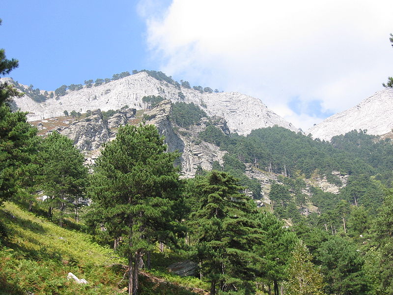 Monte Taigeto