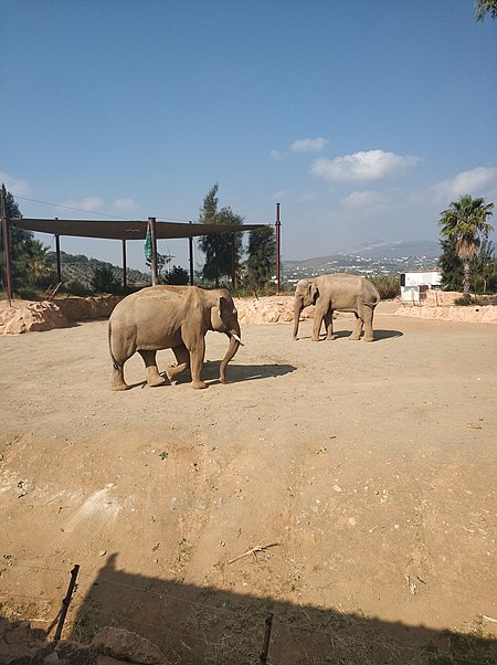 Parque zoológico de Ática