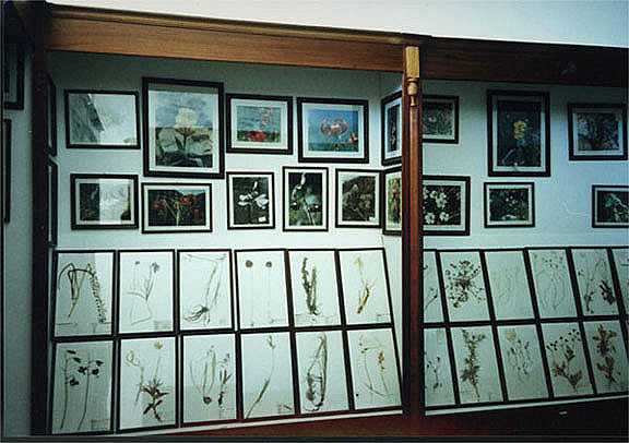 Botanical Museum of the Mountaineering Association