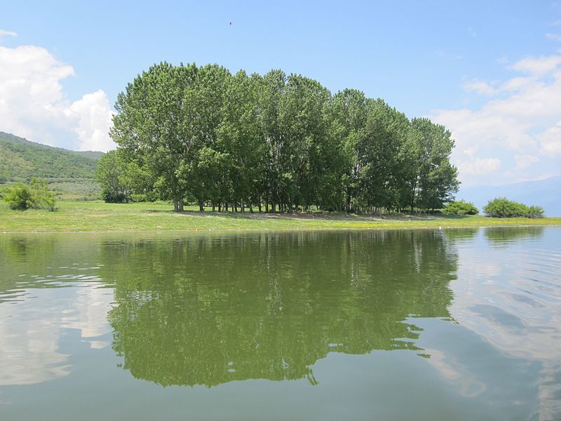 Lake Kerkini
