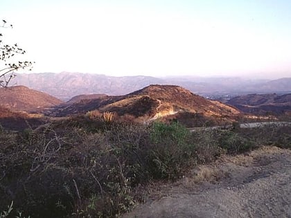 chiquimula volcanic field