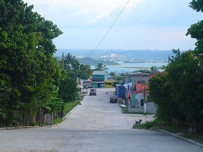 san andres flores