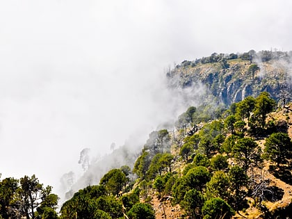 Volcán Tacaná Biosphere Reserve