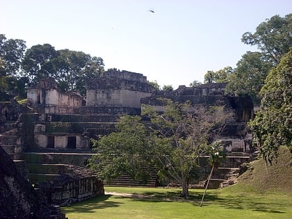 central acropolis reserve de biosphere maya