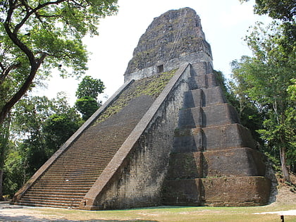tikal temple v reserve de biosphere maya