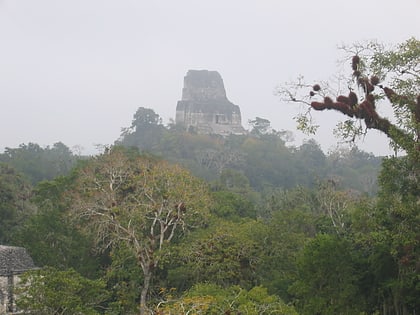 temple iv reserve de biosphere maya