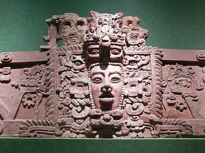 holmul reserve de biosphere maya