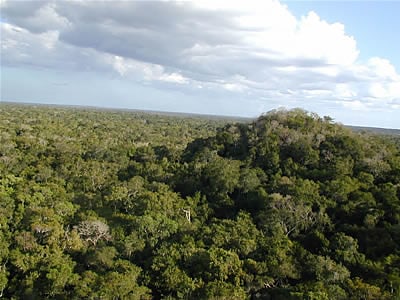 el mirador maya biosphere reserve