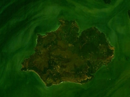 Isla de Uno