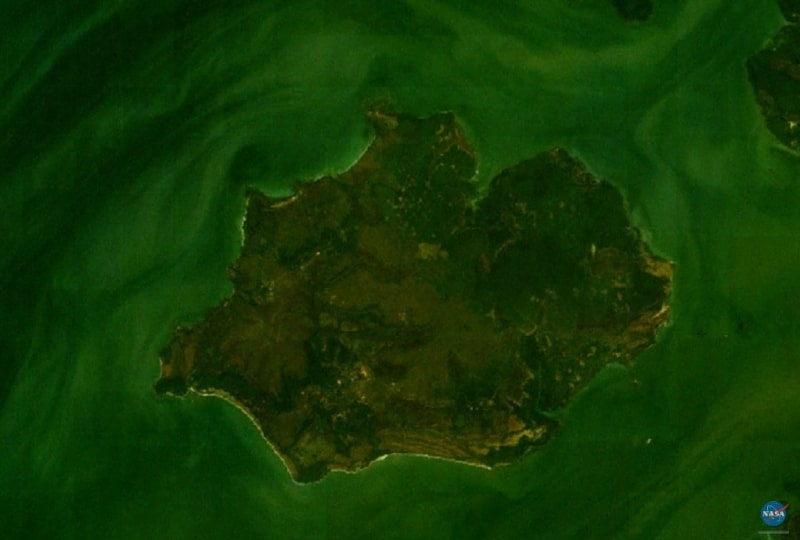 isla de uno orango islands national park