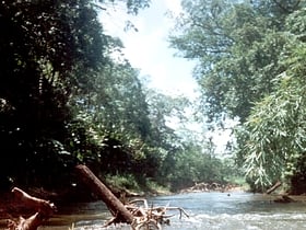 Reserva de la biosfera de Río Plátano