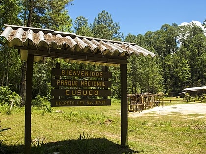 Parque nacional Cusuco
