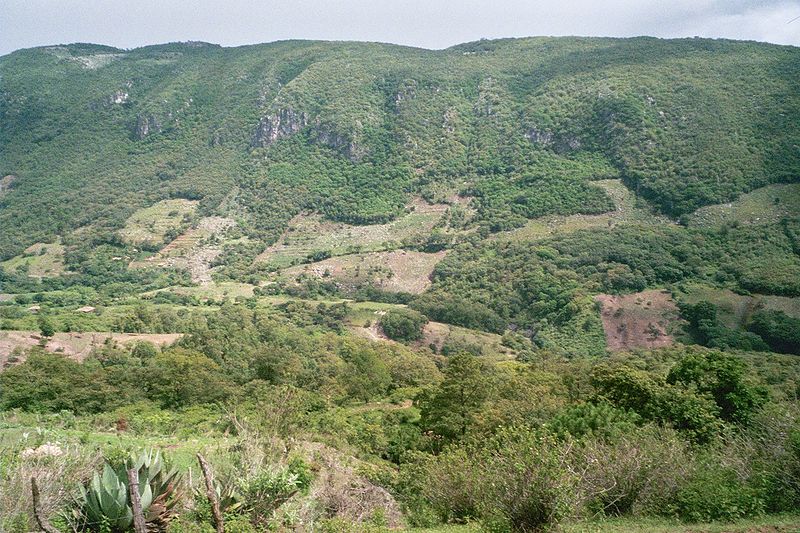 Parque nacional Celaque