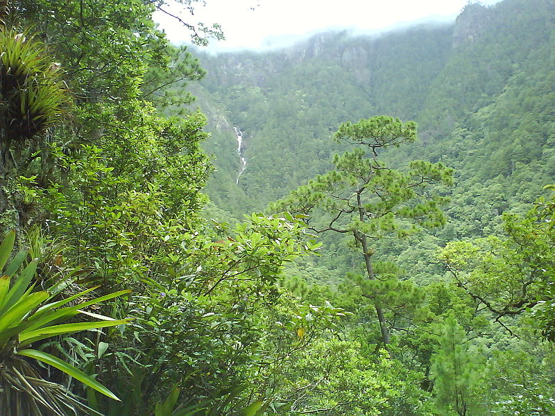 Celaque National Park