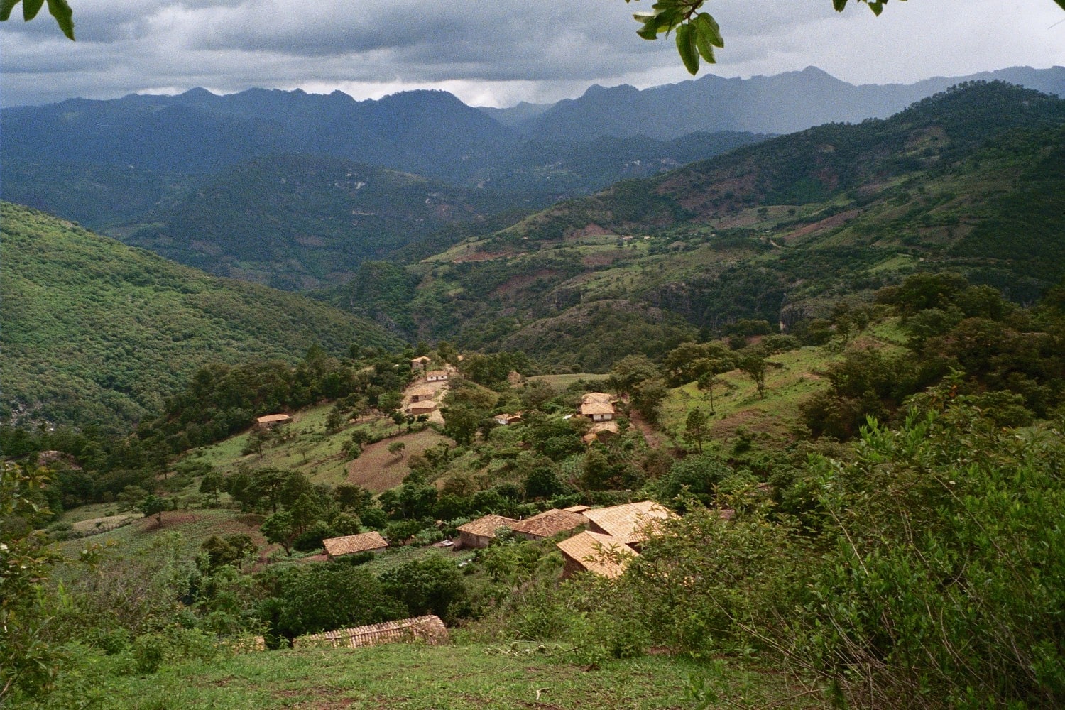 Park Narodowy Celaque, Honduras