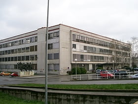 Faculty of Humanities and Social Sciences