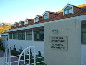 dubrovnik international university