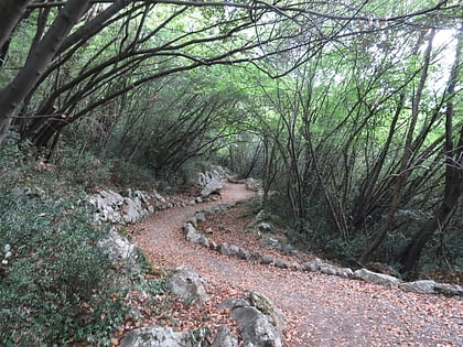 carmen sylva forest path opatija