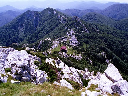 Veliki Risnjak