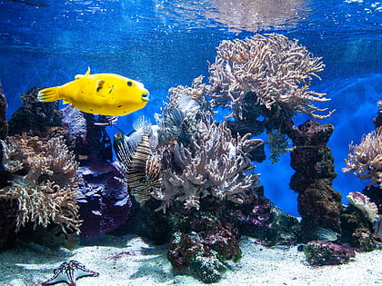 aquarium rovinj