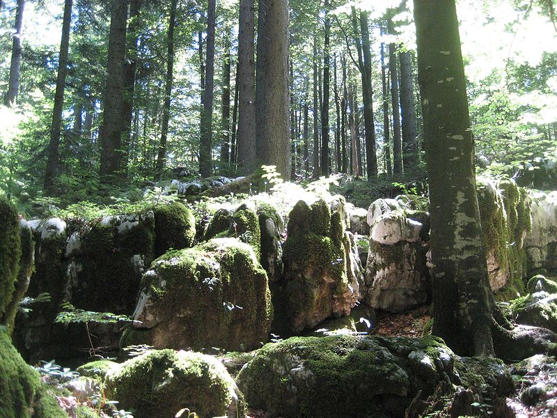 Park-šuma Golubinjak