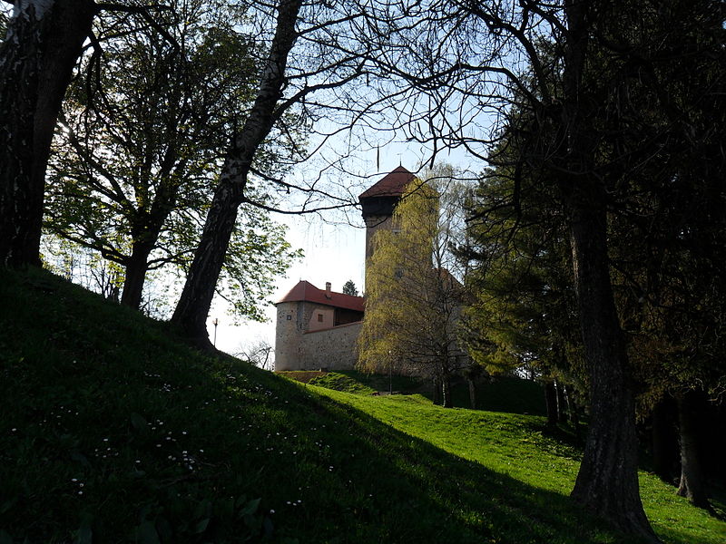 Château de Dubovac