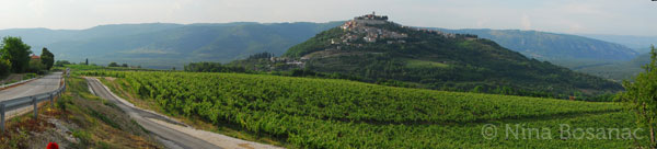 Motovun