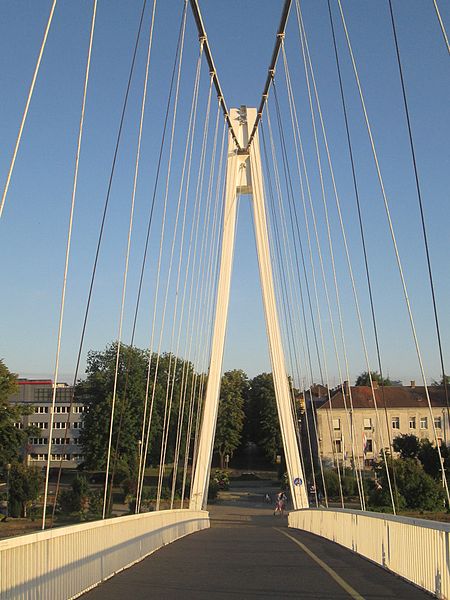 Pješački most