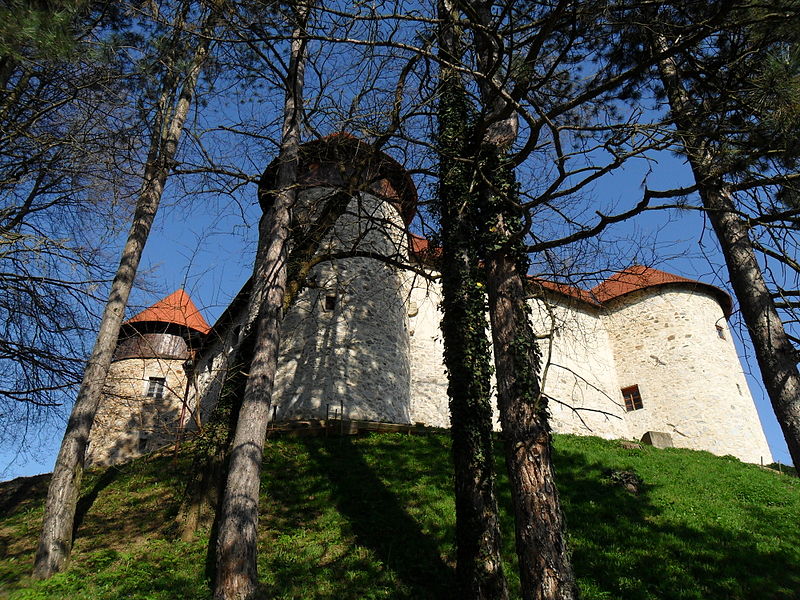 Château de Dubovac