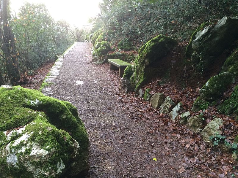 Carmen Sylva forest path