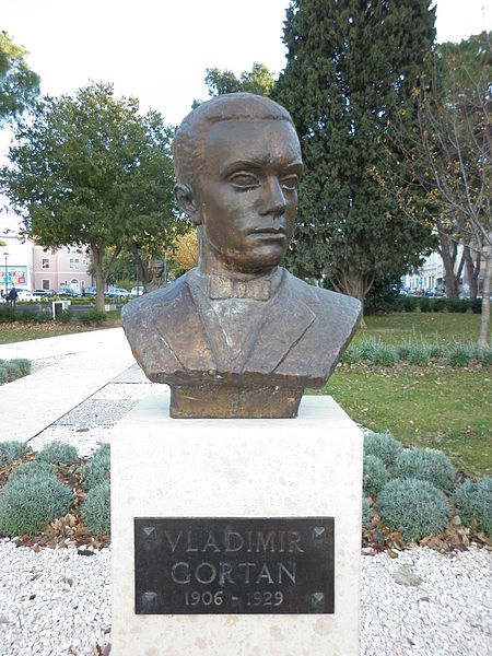Vladimir Gortan