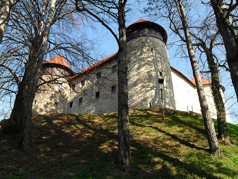 Dubovac Castle