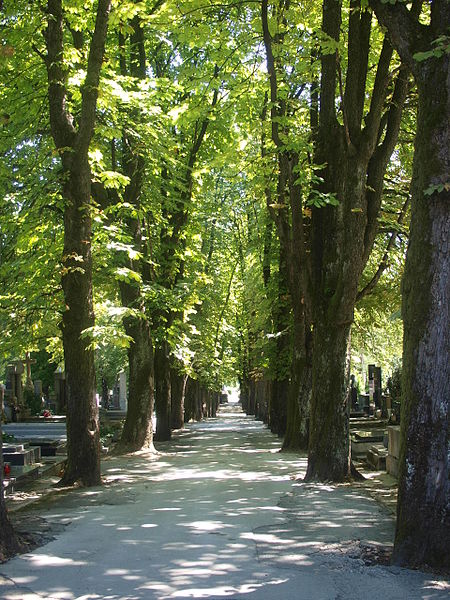 Cmentarz Mirogoj