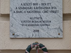 Ady Endre Emlékmúzeum