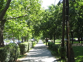 Haller utca