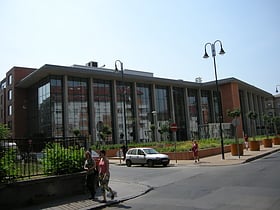 Uniwersytet Semmelweisa