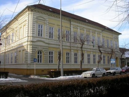Viski Károly Múzeum