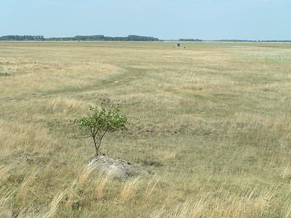 pannonian steppe hortobagy
