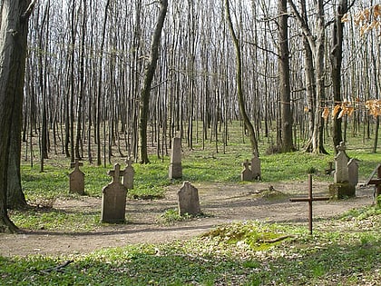 Körtvélyesi erdei temető