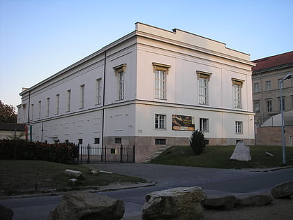musee hongrois dhistoire naturelle budapest