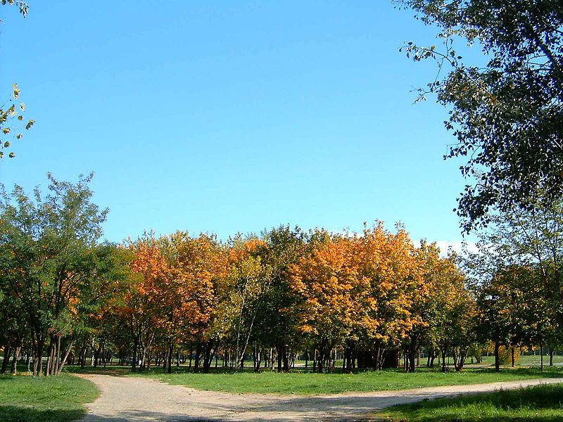 Hajógyári Island