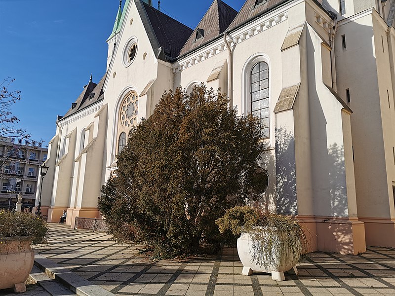 Cathédrale Notre-Dame-de-l'Assomption de Kaposvár